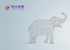陽光普惠